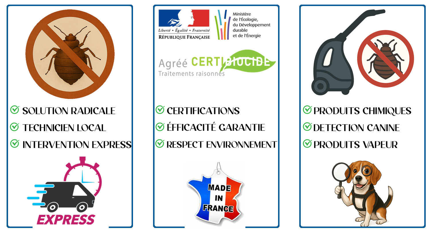 Punaises de Lit Enghien les Bains